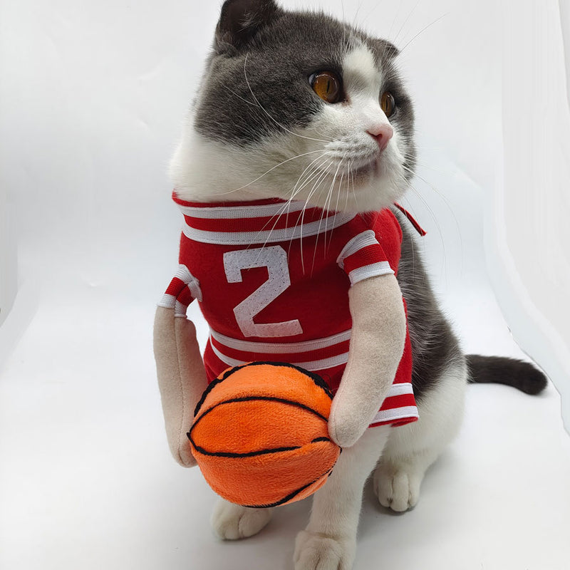 Fits every pet