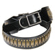 Verdikte leren hondenhalsband met studs