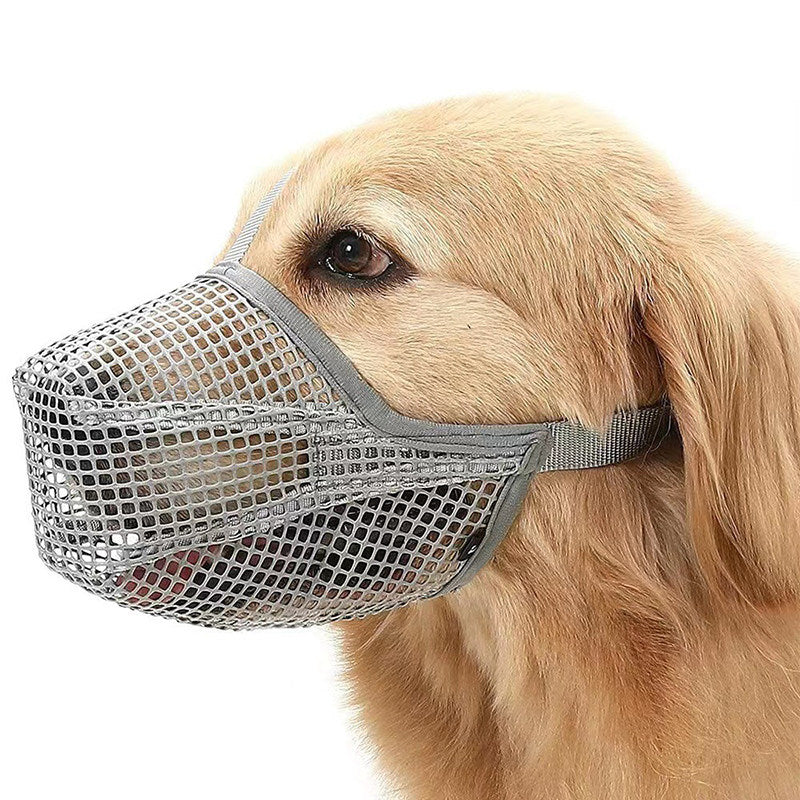 Fits every pet