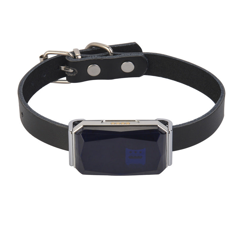 Waterdichte GPS-halsband tegen zoekraken