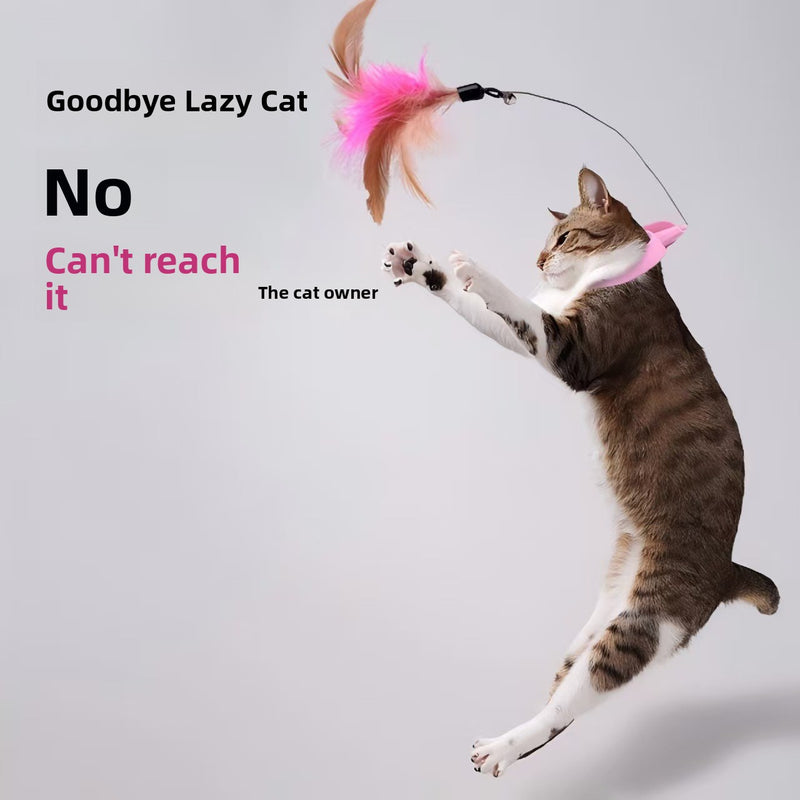 Fits every pet