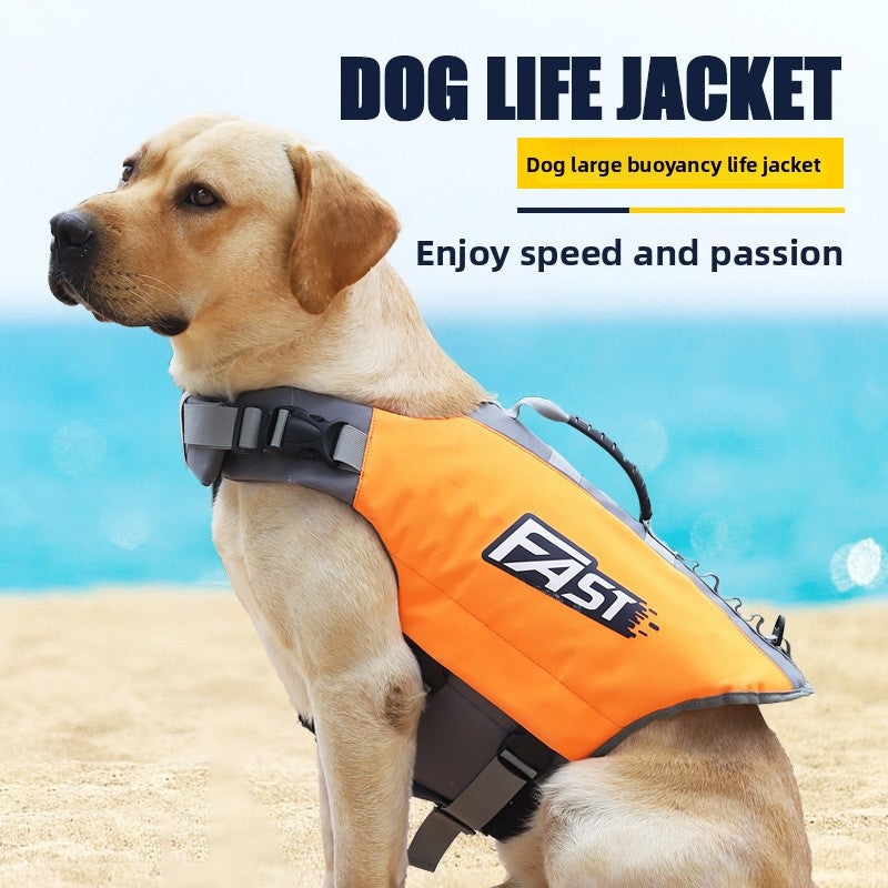 Niet elke hond blijft vanzelf drijven