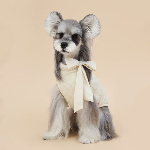 Winterjas met strik voor kleine honden