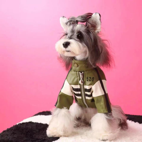 Bikerjack voor honden voor herfst en winter