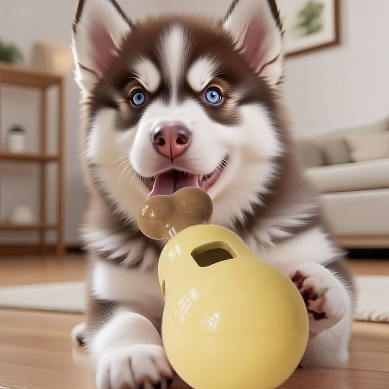 Built for daily use