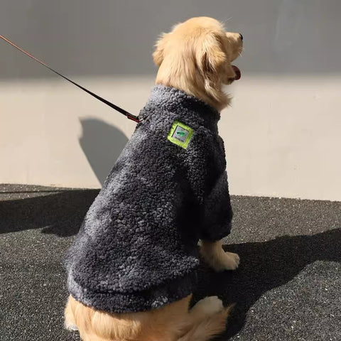 Winterkleding voor grote hondenrassen