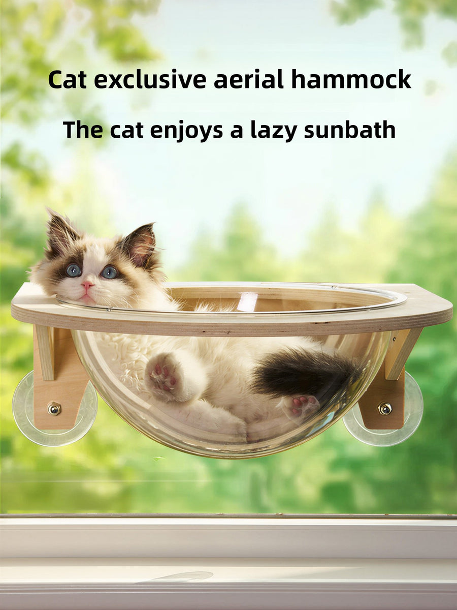 Transparent Suction Cup Cat Bed with Climbing Frame