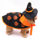 Halloweenkostuum met cape en hoedje