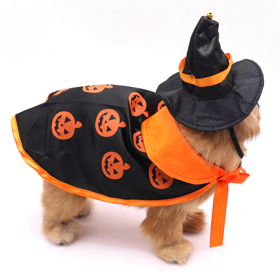 Halloweenkostuum met cape en hoedje