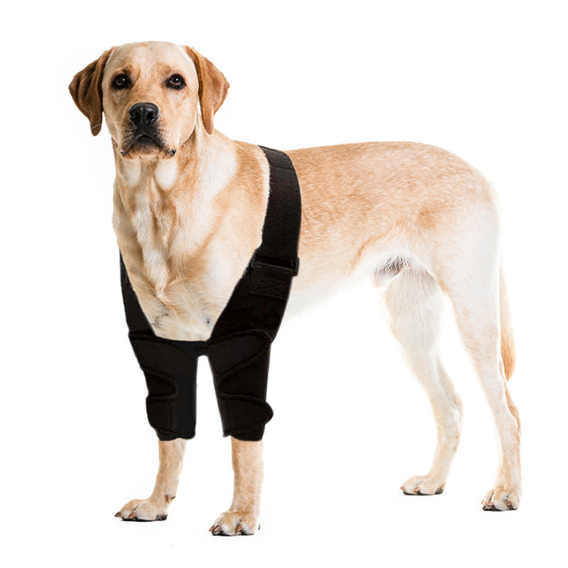 Fits every pet