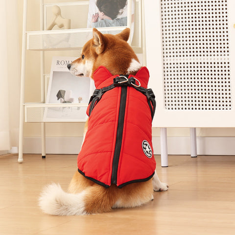 Warme hondenkleding voor herfst en winter