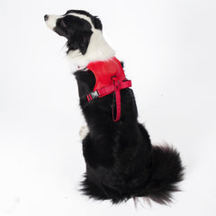 Red / XL 73-94cm