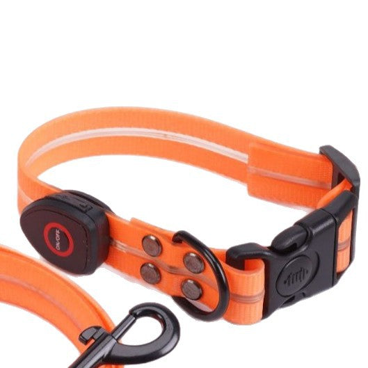 Verstelbare oplaadbare LED-halsband