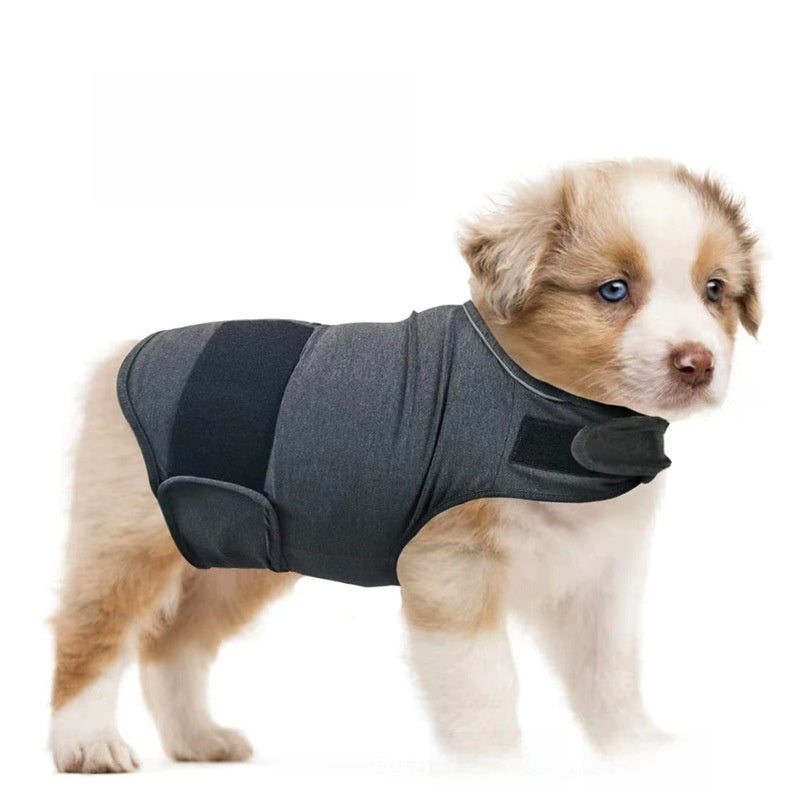 Rustvest tegen angst voor hond en kat