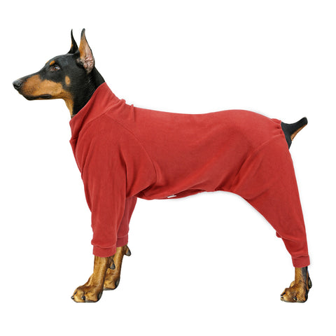 Warm huispak voor kortharige honden