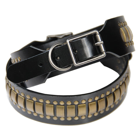 Verdikte leren hondenhalsband met studs