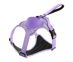 Purple 2nd generation / L 63-80cm