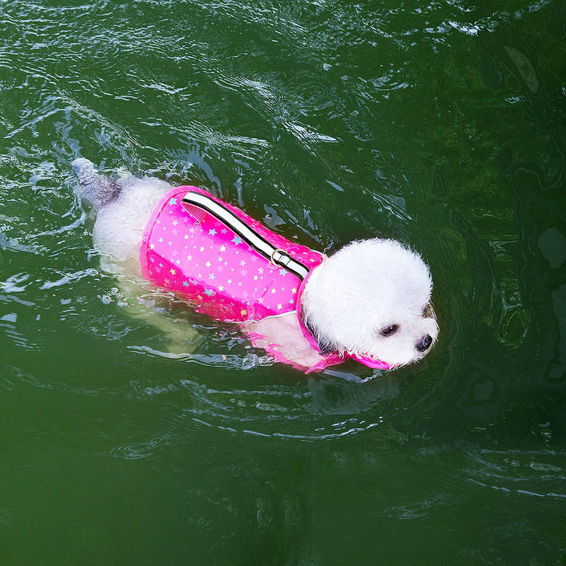 Fits every pet