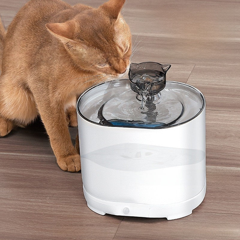 Fits every pet