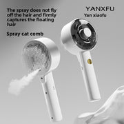 Steam Spray Cat Comb with UV Sterilization