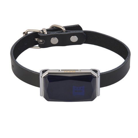Waterdichte GPS-halsband tegen zoekraken