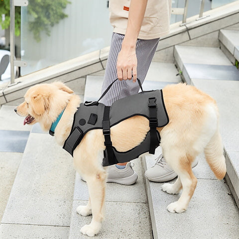 Trainingstuigje voor pootkracht bij oudere honden