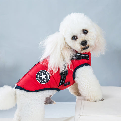Waterdicht wintertuigje voor honden
