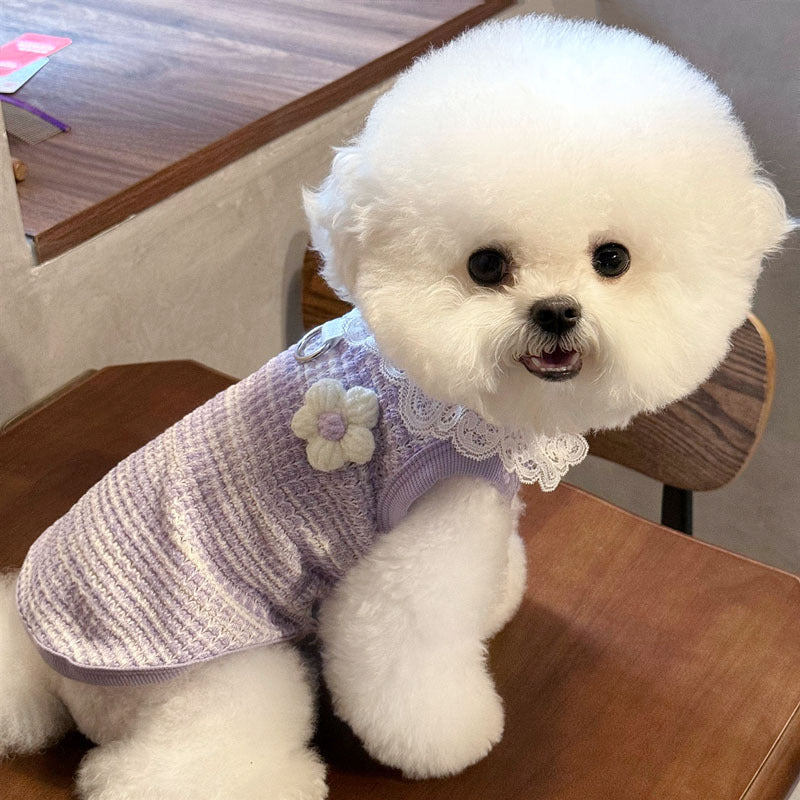 Fits every pet