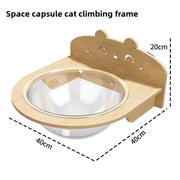 Transparent Suction Cup Cat Bed with Climbing Frame
