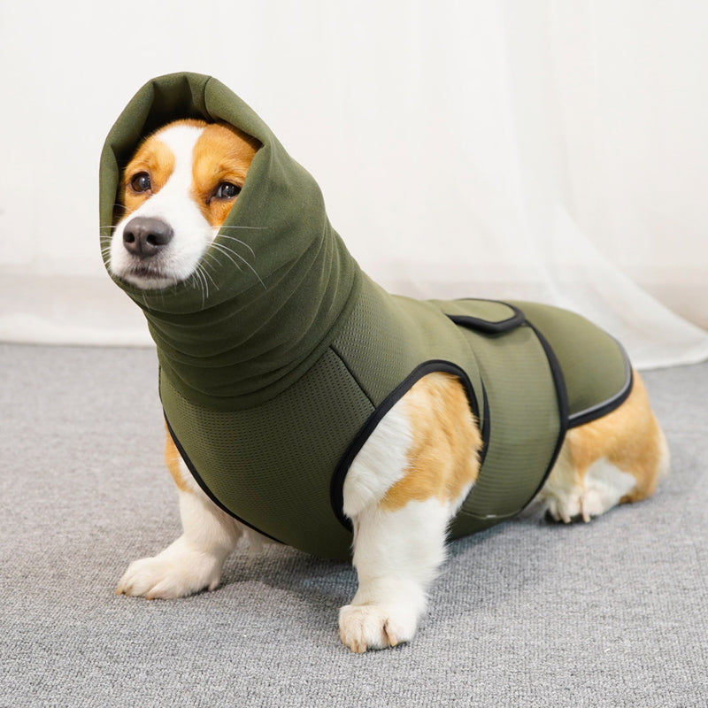 Een angstige hond kalmeert niet van troosten alleen