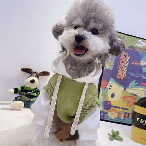 Warme hoodie met fleecevoering voor honden