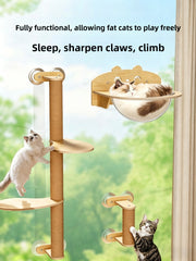 Transparent Suction Cup Cat Bed with Climbing Frame