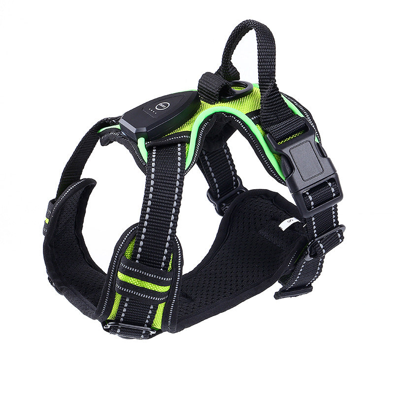 LED Dog Harness for Night Walks