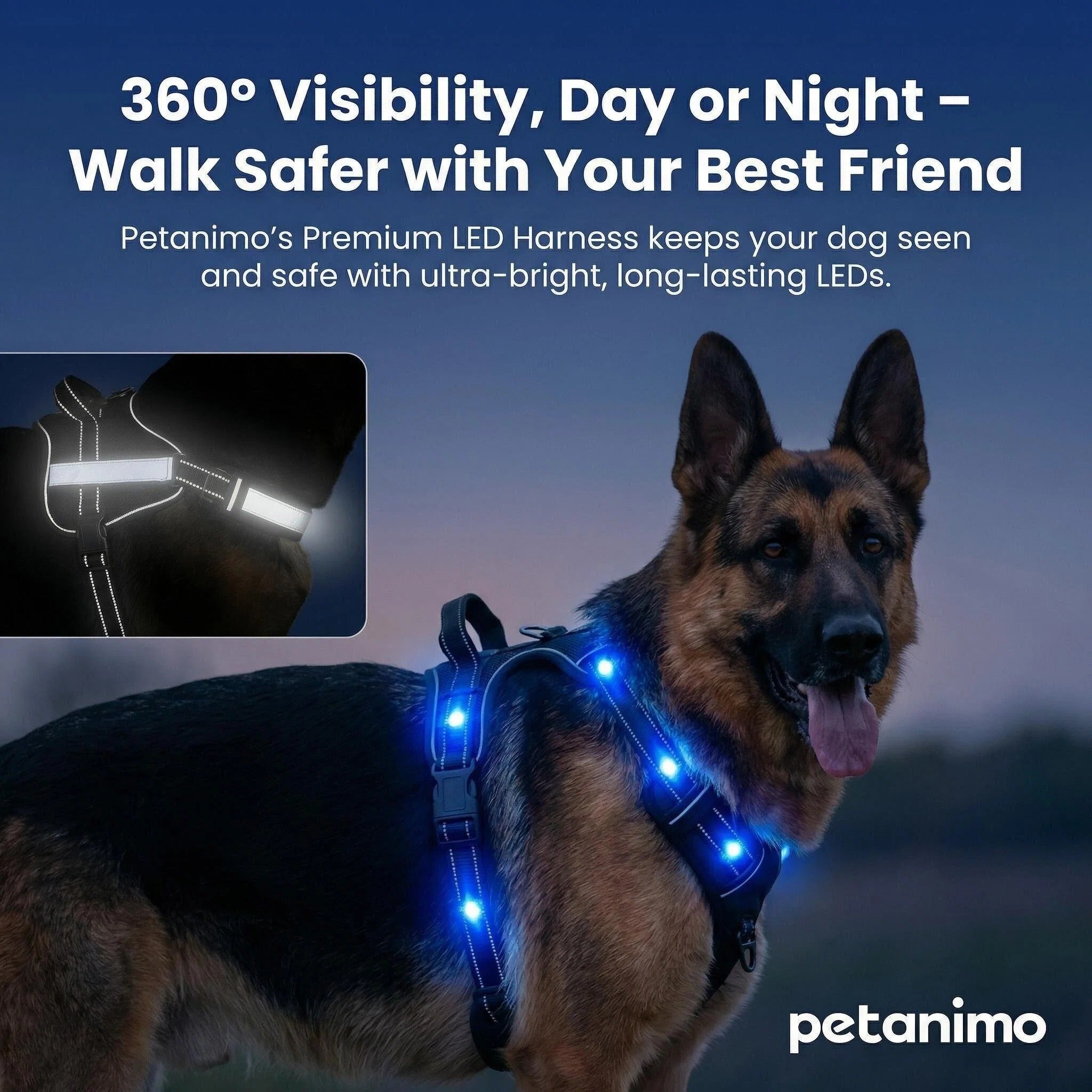LED Dog Harness for Night Walks
