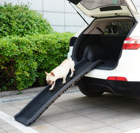 Autotrapje voor hond en kat