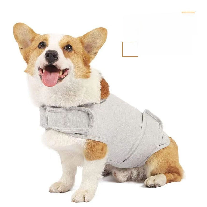 Een angstige hond kalmeert niet van troosten alleen