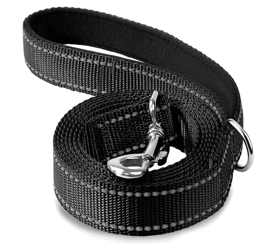 Reflecterende hondenriem met halsband
